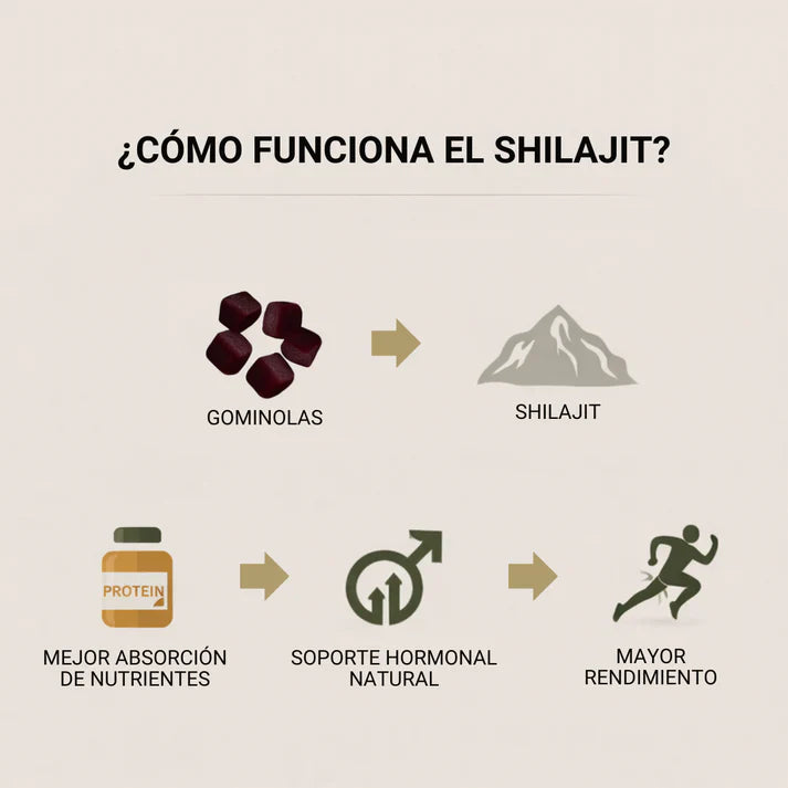 GOLD SHILAJIT GUMMIES