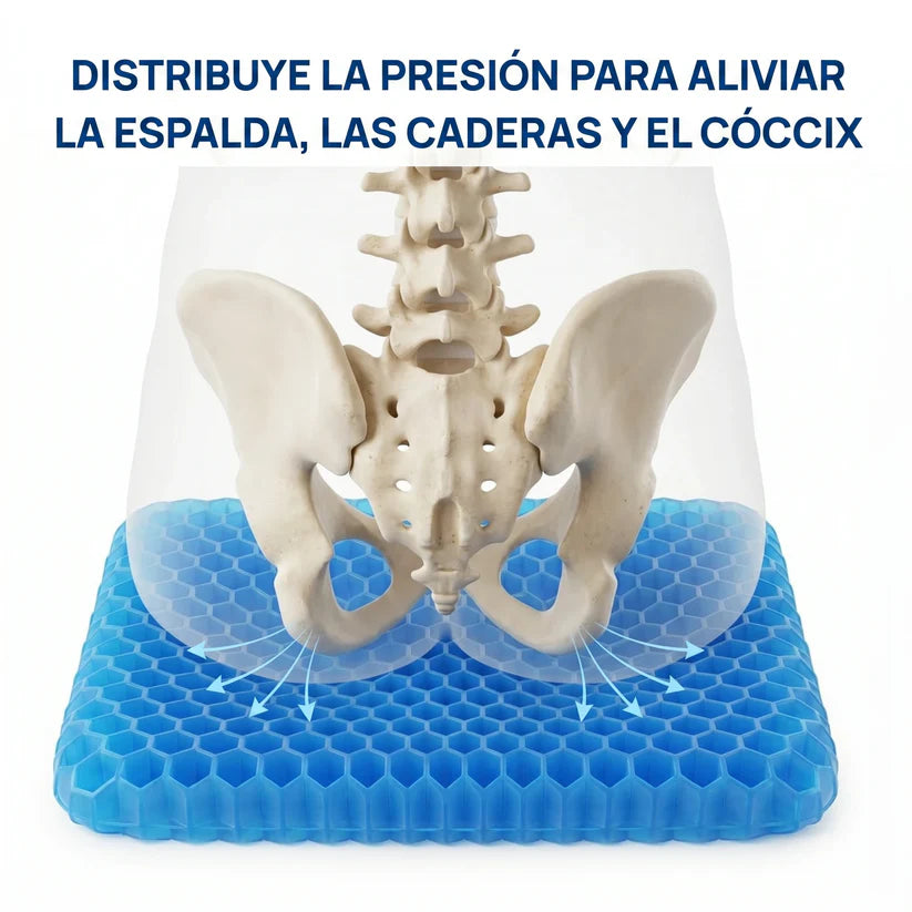 Cojín de Gel Coussea | Alivia los dolores de espalda, caderas y coxis